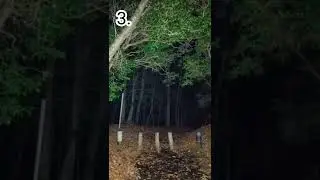 Где тебе стало жутко? #монстр #жуть #эстетика #страх