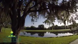 Valrico home property tour