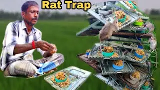 Rat Trapping Technique (Part - 1) | Primitive Technology | Unique Technique