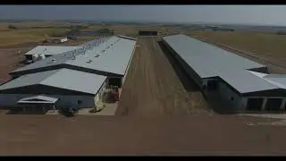 Starland Farming Co. Dairy Barn 2021, Starland County, Alberta