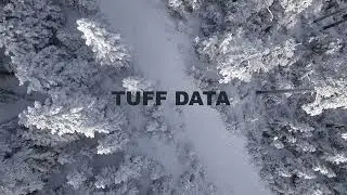 Free Music/ Tuff data-Vans in Japan
