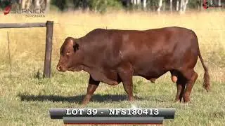 LOT 39   NFS18 413