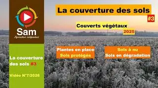 Couverture des sols #3 2026. Les intérêts de préserver la présence de plantes. Sol à nu se dégrade