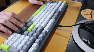 Austin | Dark Jade switch | Soundtest | DBMK