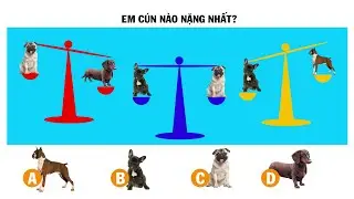 Đố vui Mkid tv