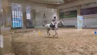 This is my equestrian video edit for your reference- Yutong Zheng