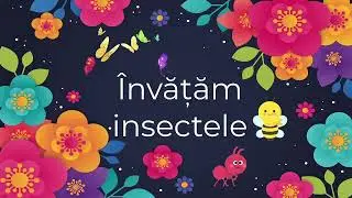 Invatam insectele