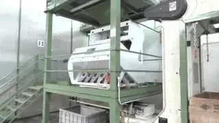 CIMBRIA SEA CHROME  |  vegetable seeds optical sorter  |  selezionatrice ottica sementi orticole