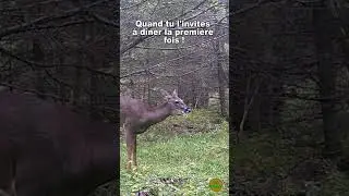 When you invite him to dinner for the first time ! #funnyshorts #animals  #funnyanimals