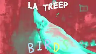 Remi MZ - Birds ( Surfin bird Footwork remix )  #electronicmusic #futurebass #footwork
