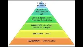 DILTS Pyramid of Life