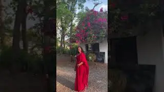 🌹😻valentine kittiyo gooys 🤭?!!#shorts #reels #trendingshorts #viral #lizavarghese