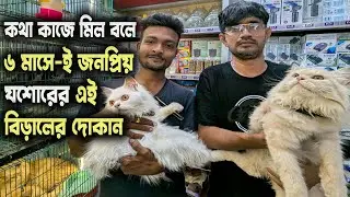 যশোরের জনপ্রিয় বিড়ালের দোকানে বিদেশী বিড়ালের দাম | Cat Price in Bangladesh