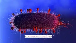 Historical timeline | Discovery of CRISPR | Gene Editing