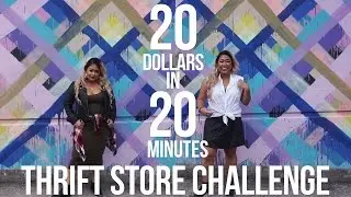 Thrift Store Challenge Collab with TheStyleCat || I Chose Art