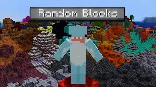 Minecraft, But Every Chunk is a Randomized Block.....