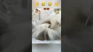 Fail compilation 😂😂😂  #shorts #shortsfeed #funnyfails #epicfails #memes #failcompilation
