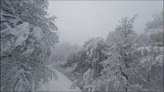 Mecsek | Winter edition