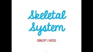 Unit 2 Support and Motion Concept 1 Notes