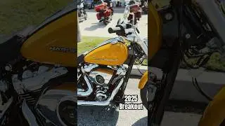 2025 Breakout FXBR | Centerline Yellow