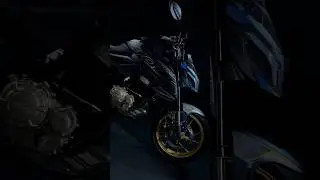 Gen&eacute;tica salvaje. la nueva WOLF EVOLUTION 250 ya est&aacute; aqu&iacute; y no vino a seguir a nadie. #DaytonaWolf