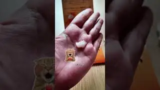 Lan&ccedil;amento no Jap&atilde;o! Osolo Merit &mdash; shampoo que parece creme 😳