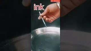 simple boat experiment at home#short #👍#youtubeshorts #army