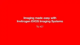 Imaging made easy - EVOS Tip #27