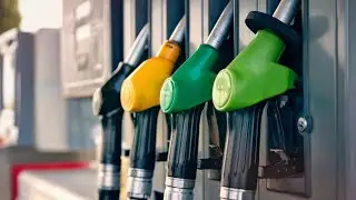Anthony Albanese &lsquo;increased petrol taxes&rsquo;: Murray