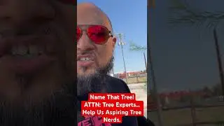#dadprepper Are You A Tree Nerd? Name That Tree! Tree #onetreeatatime  #treecast #treewhisperer
