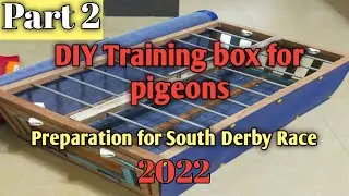 Part 2, DIY Training box for my pigeons|| Preparation for SDR 2022.#newbiefancier #pigeonracing