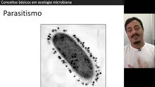 Introdução à Ecologia Microbiana e ambientes microbianos