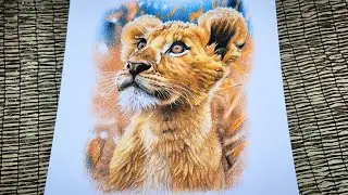 Draw a Cute Lion Cub with Colored Pencils 🦁