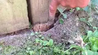 5 year test fence for D-Fence Post Protectors