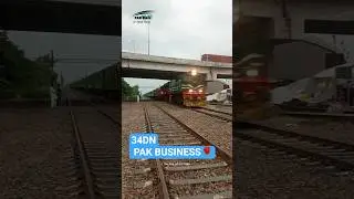 34DN Pak Business Express | Speed 104km/Hr #pakrailupdntrain #pakistanrailway #shorts