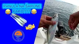 PANULUOM NA ŠARUNE - Fishing in Croatia - Mali Losinj (trolling)