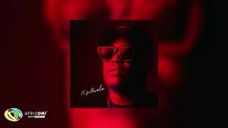 Echo Deep - NGITHWELE (Official Audio)