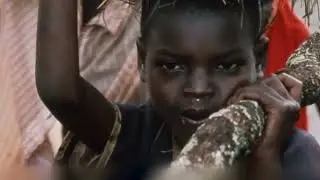 The Danish Refugee Council: A Humanitarian Lifeline for the Displaced