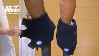 Ice Horse Hock Wrap