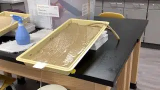 Stream Table Lab #1