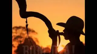 Som de Berrante - Royal Ranch