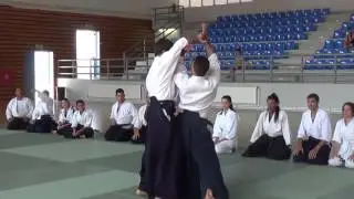 SummerCamp2015  (Aikido Academy)