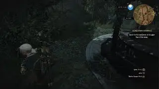 The Witcher 3: Wild Hunt iris wraith