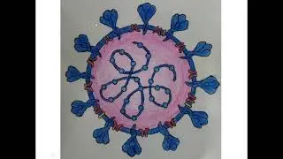 SARS  CoV 2 structure
