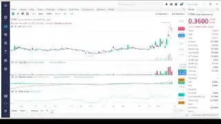 Castor Maritime (CTRM) Stock Analysis - Financials - News - Price Target - Stock Motion