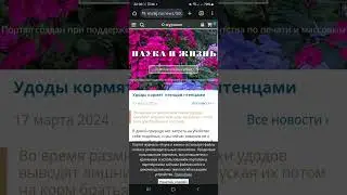 Удоды убивают своих птенцов 😱😱😱  (интернет издание Наука и Жизнь)