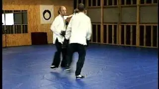 The Art of Effortless Power: (Boxing) Dynamic Leading Roll Back