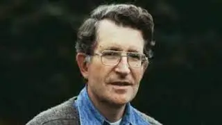 'Rules and Representations': Chomsky&rsquo;s Blueprint of the Mind #CognitiveStructures #InnerGrammar