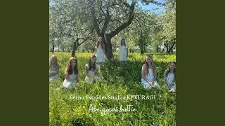 Ābeļziedi baltie