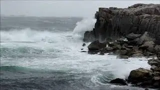 Rose Blanche hosts Hurricane Dorian